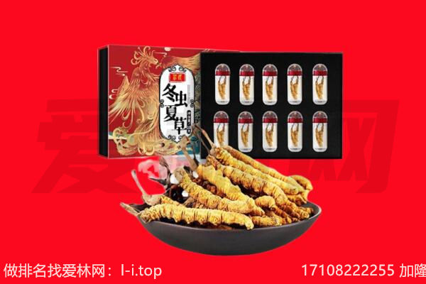 光山县回收虫草.jpg